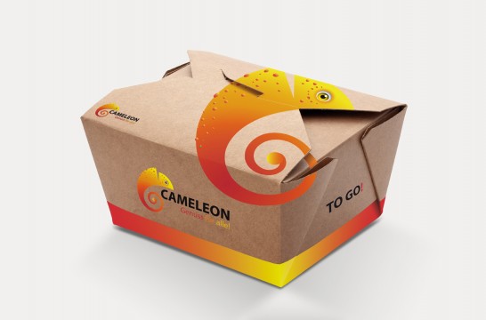 cameleon_take_away.jpg