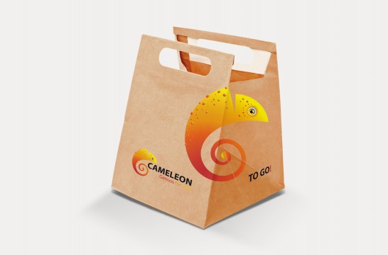 cameleon_tasche.jpg